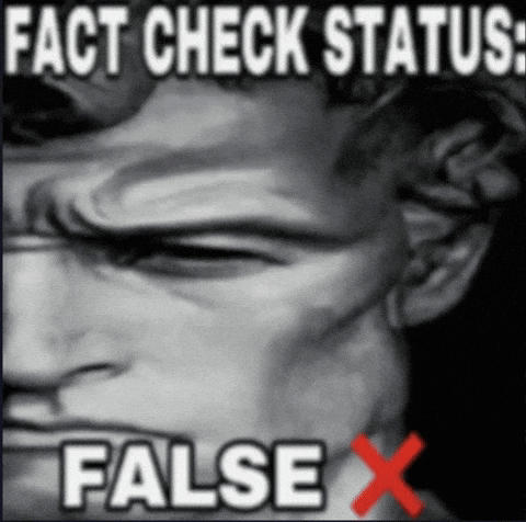 False fact check status false