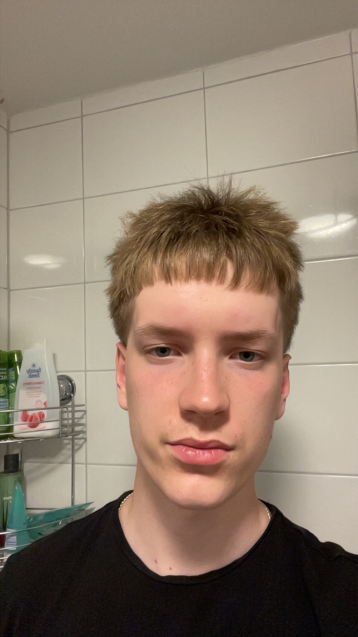 IMG 3797