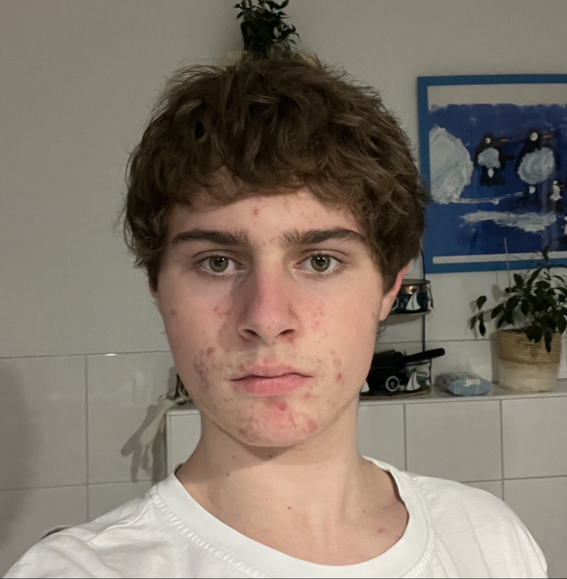 IMG 0490