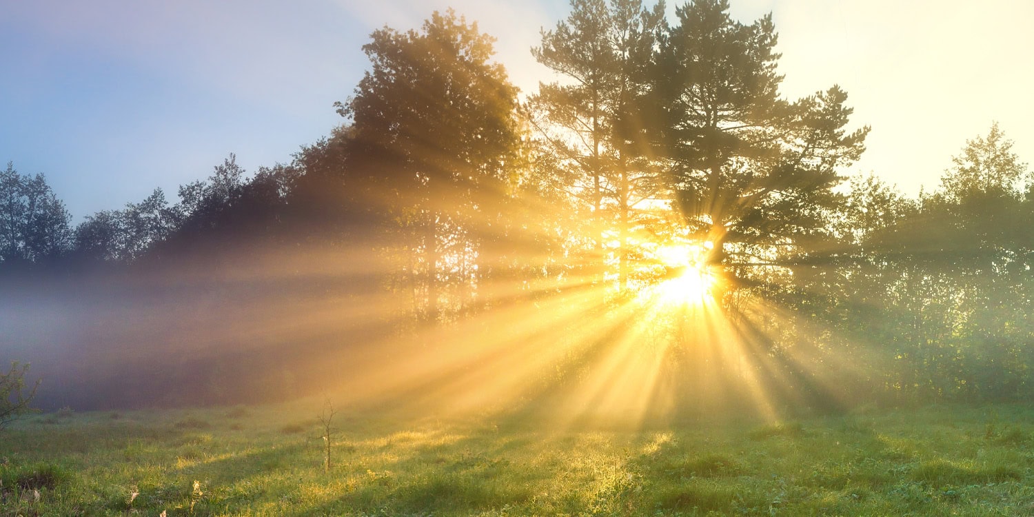 Morning sunlight