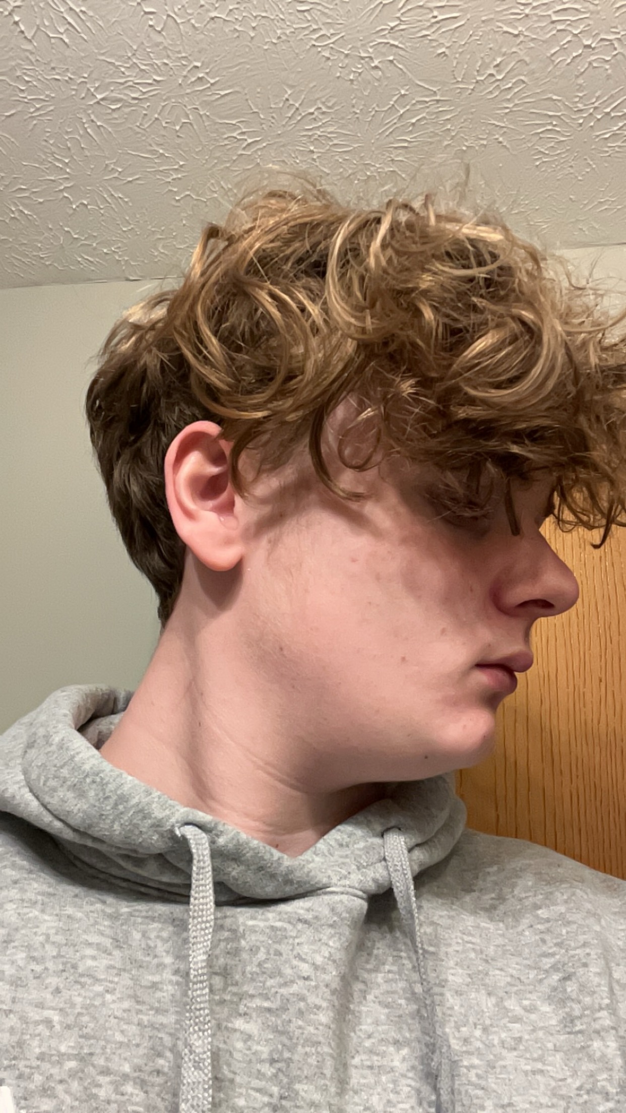 IMG 3501
