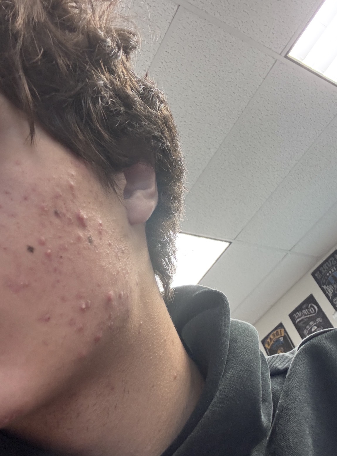 IMG 0466
