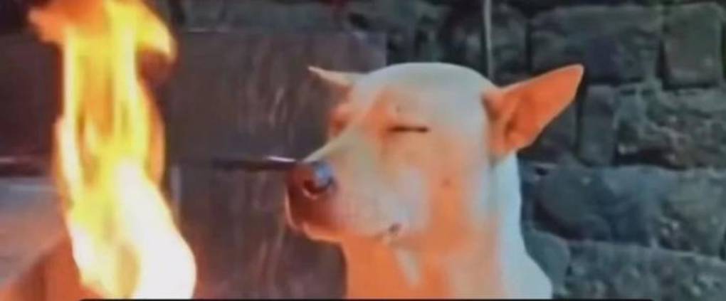 7899