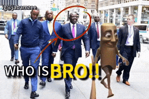 WHO IS BRO