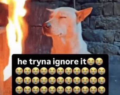 1783927849737