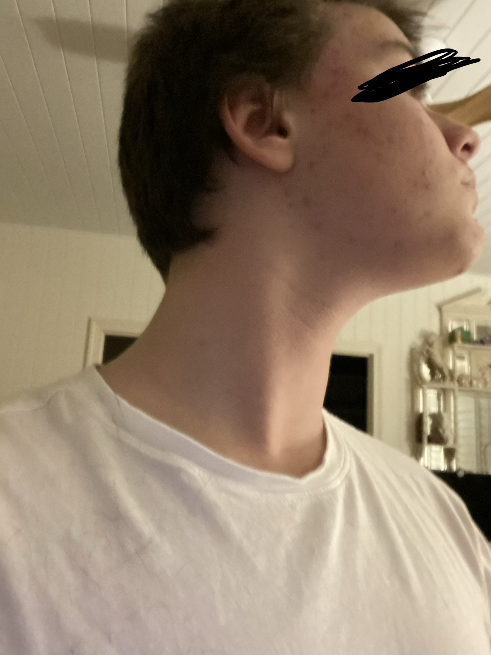 IMG 0366