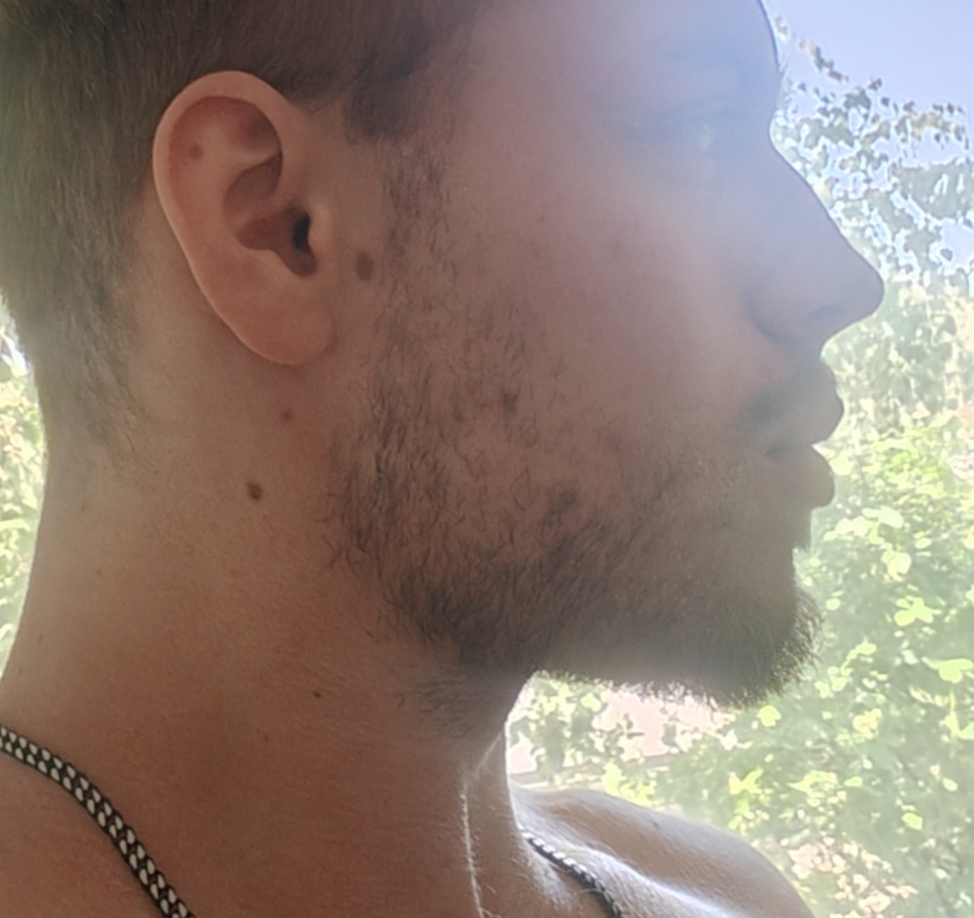 IMG 20260713 144613