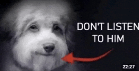 1000126958