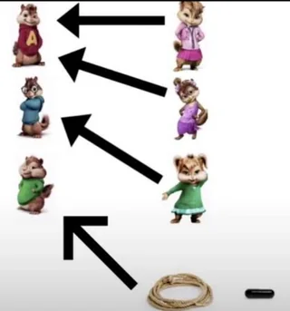1000055804