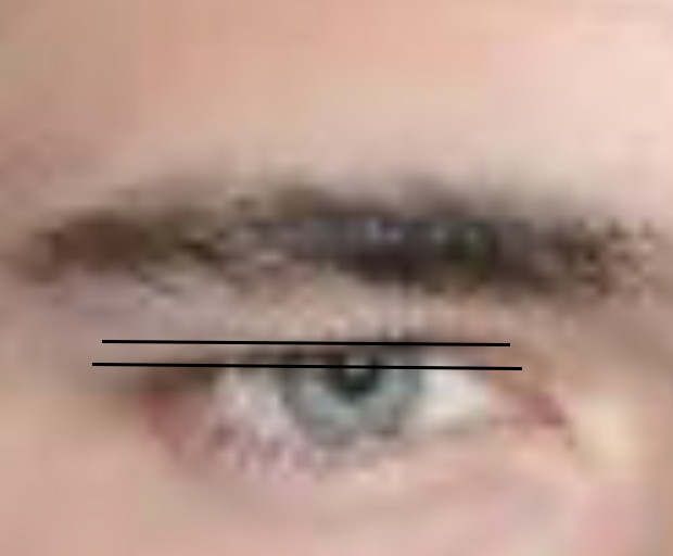 1783962354722