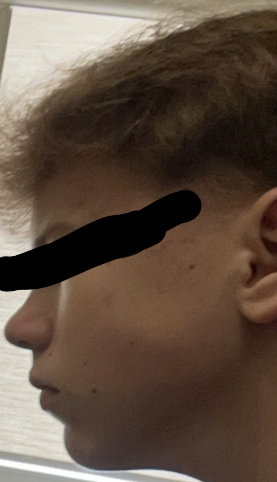 IMG 1931