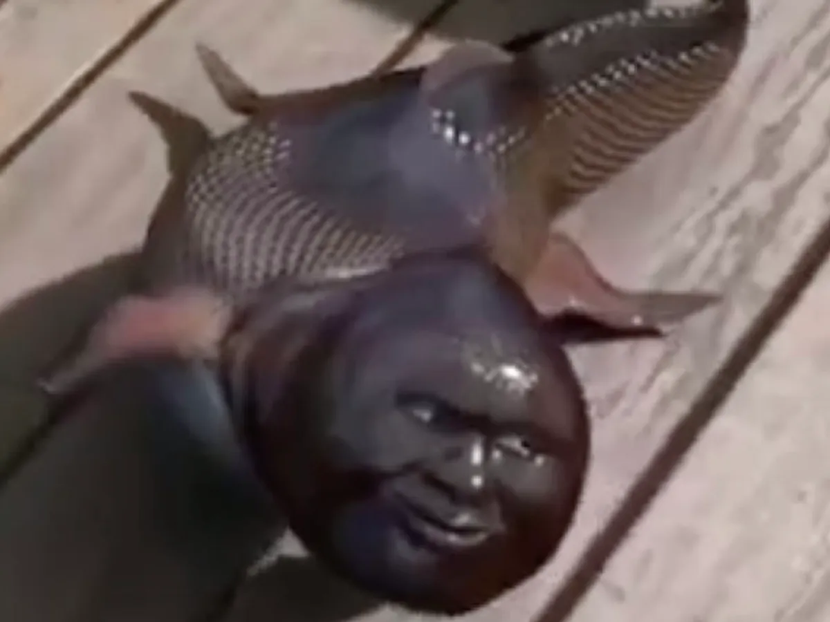 Fish human face fact check full
