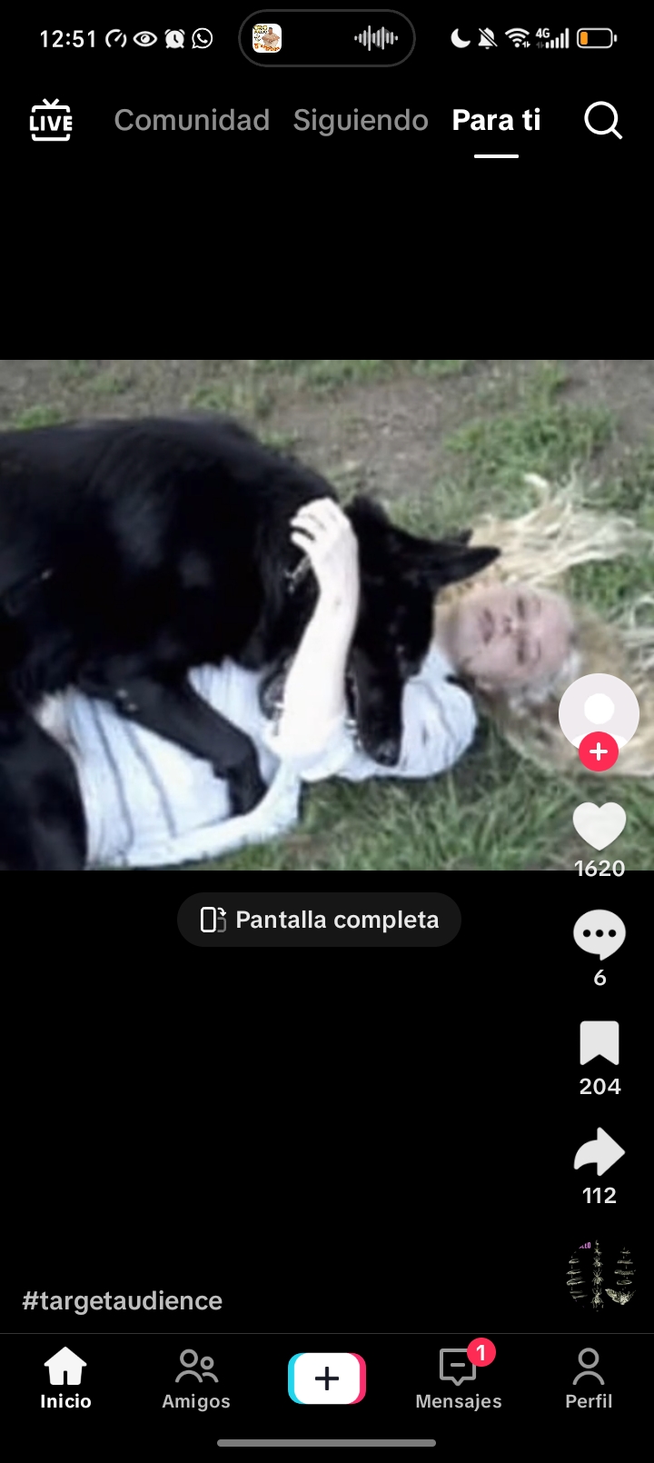 Screenshot 20260714 005139 com zhiliaoapp musically MainActivity