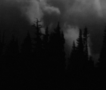 IMG 2011