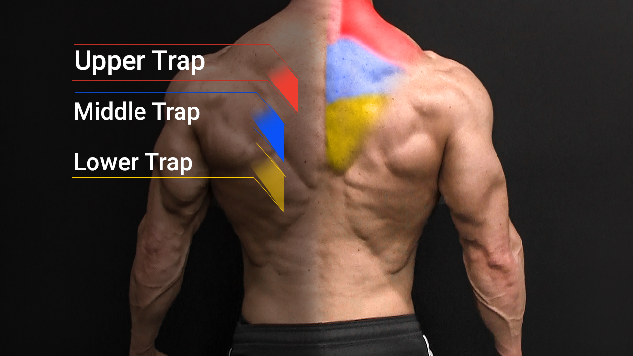 Traps