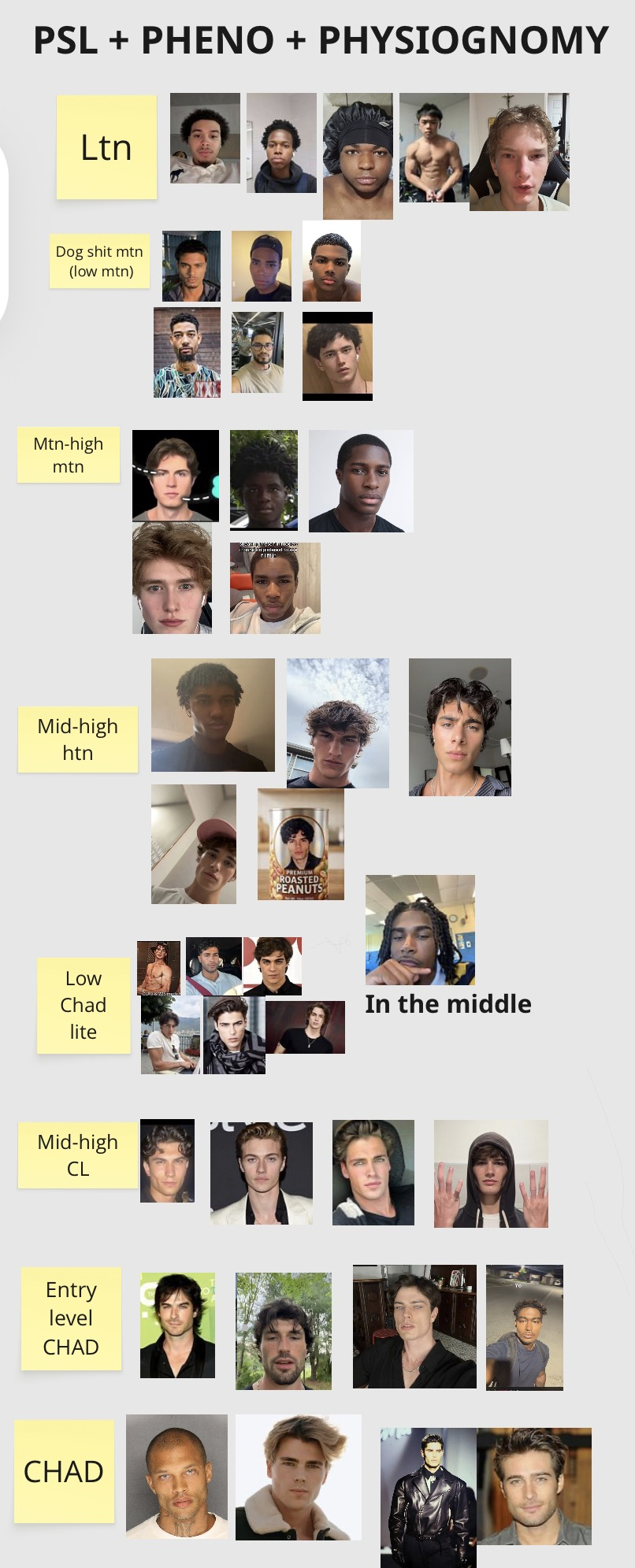 IMG 7463