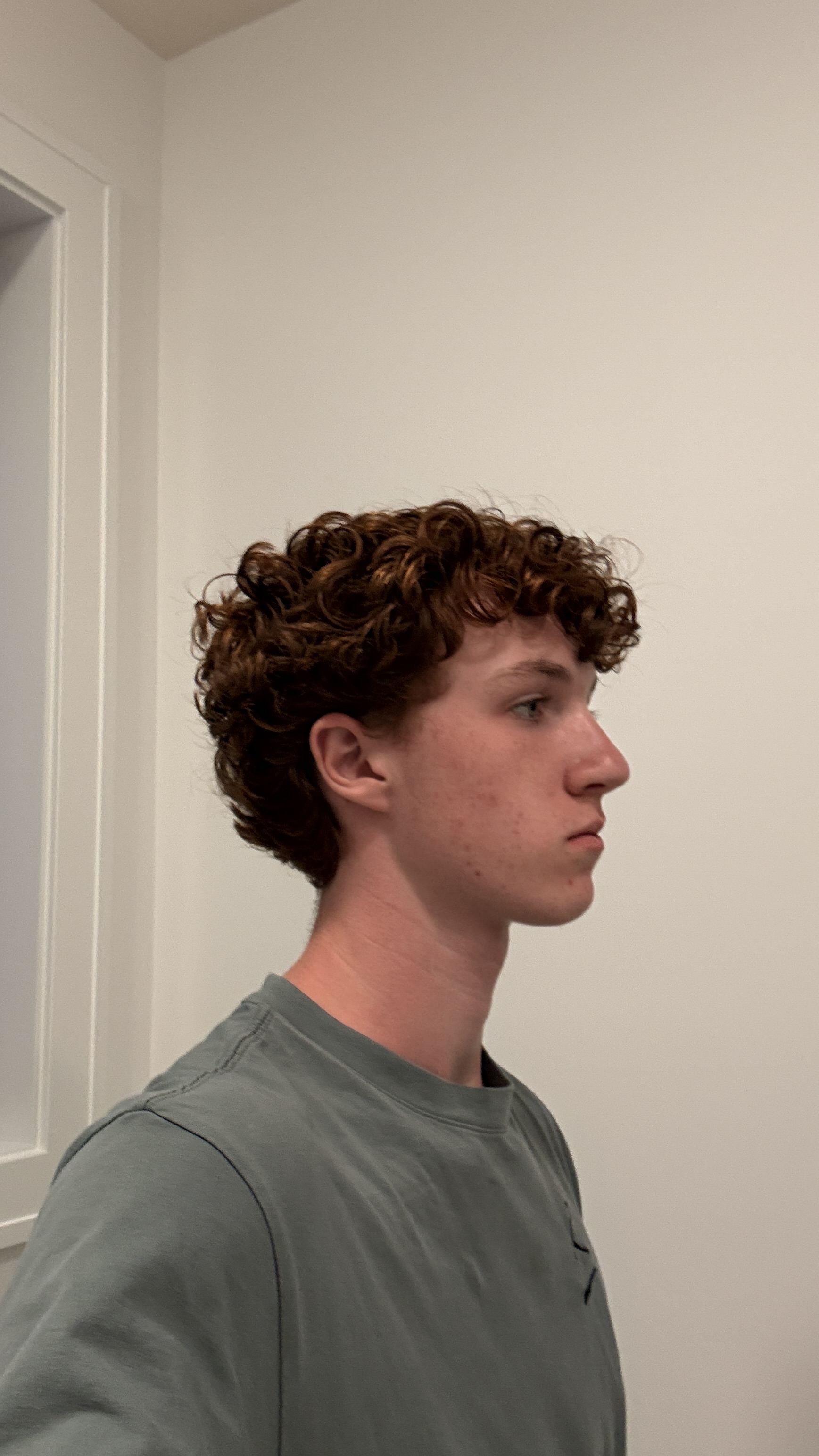 IMG 2801