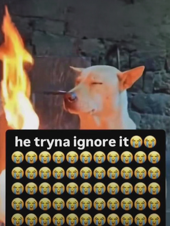 OEArGIAmINUAp0EwQEfAGkLAoPeHOHenq0AAYBtplv tiktokx origin