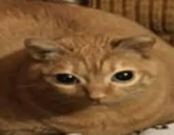 1000143726