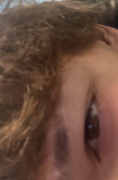 IMG 1750