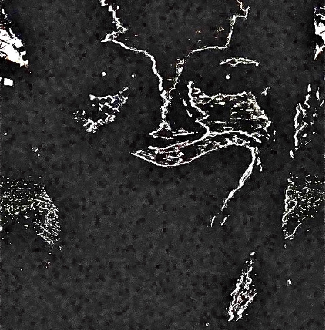 56126916 BB32 459D A934 53177550B16D
