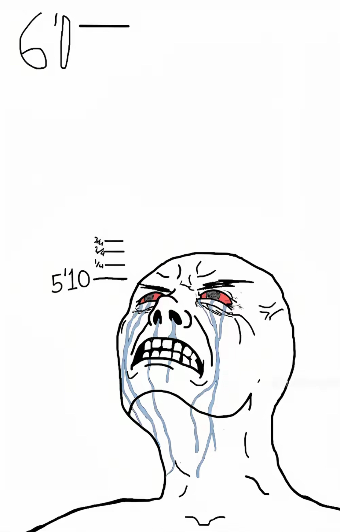 1784164456595