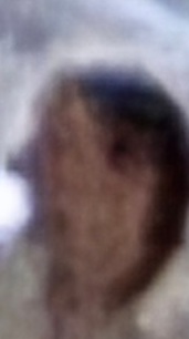 1784167422334