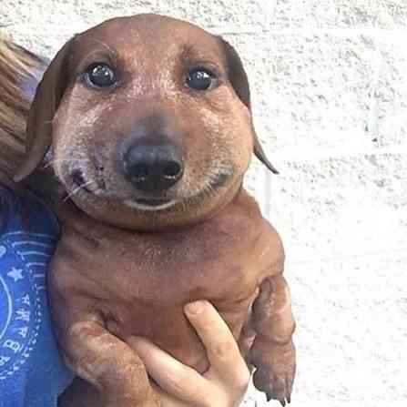 5412