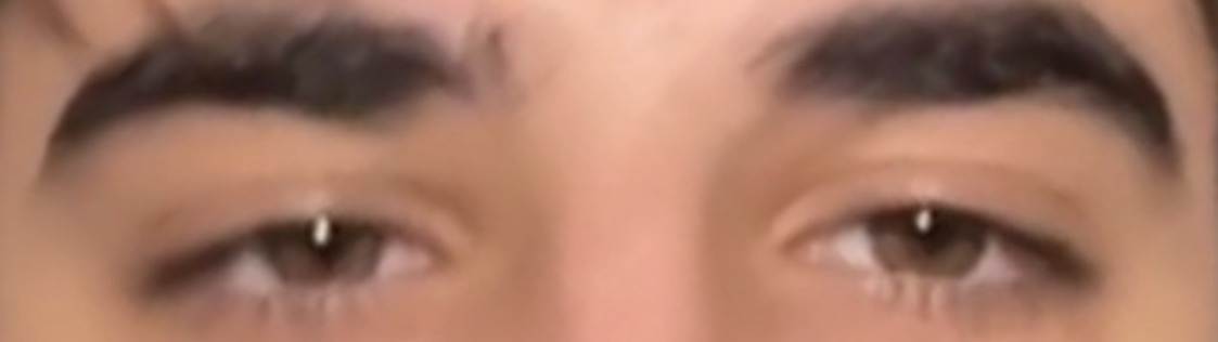 IMG 3932