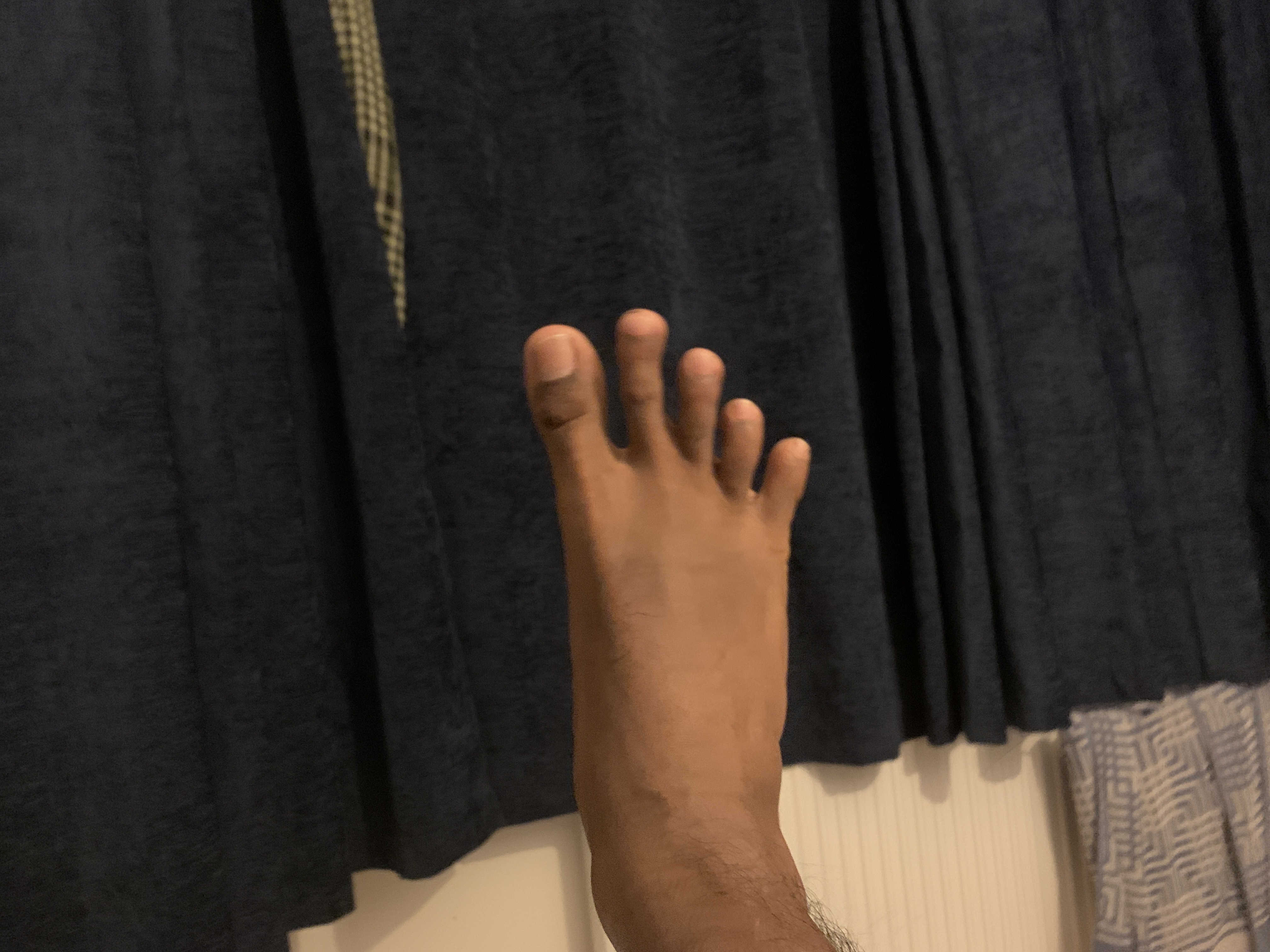 IMG 0096