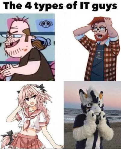 53087