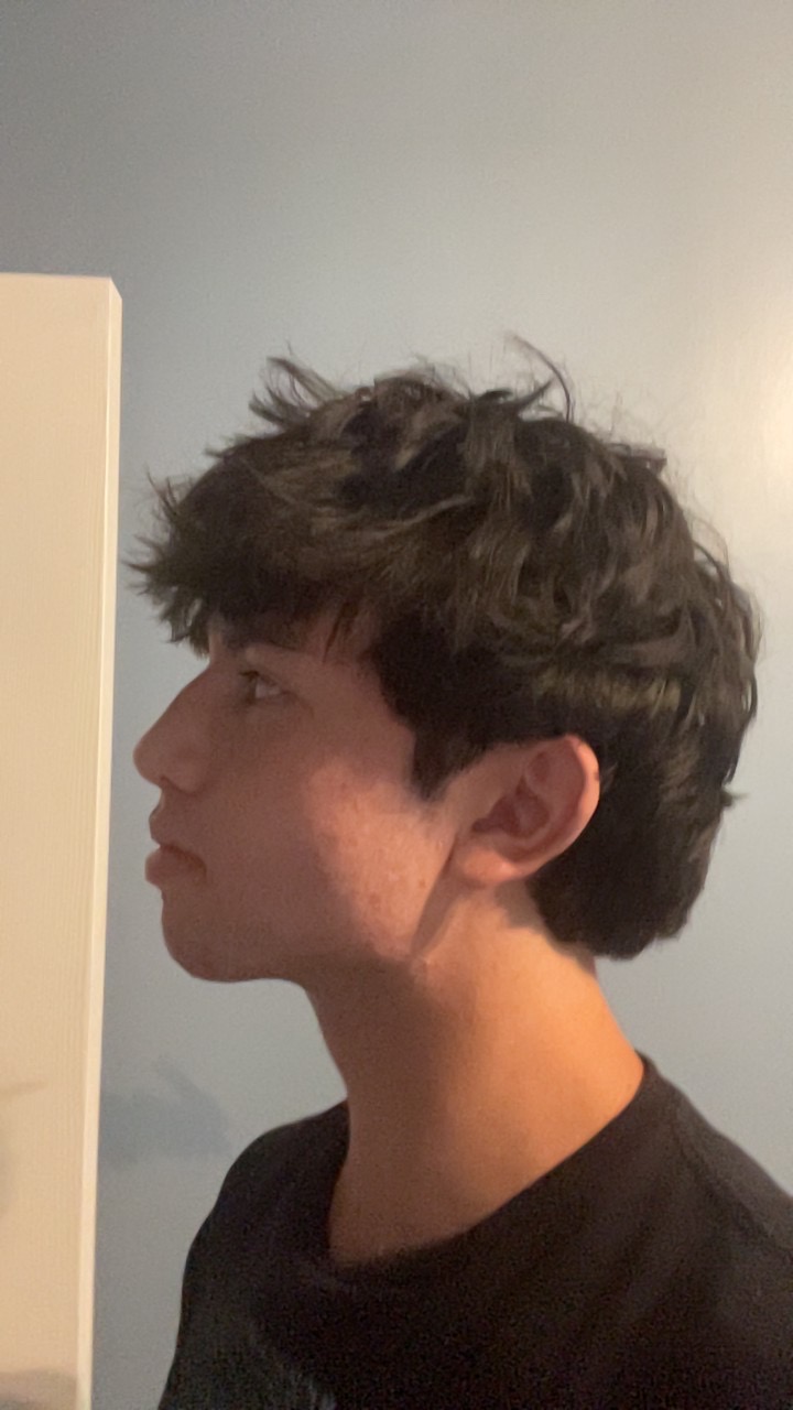 IMG 1279