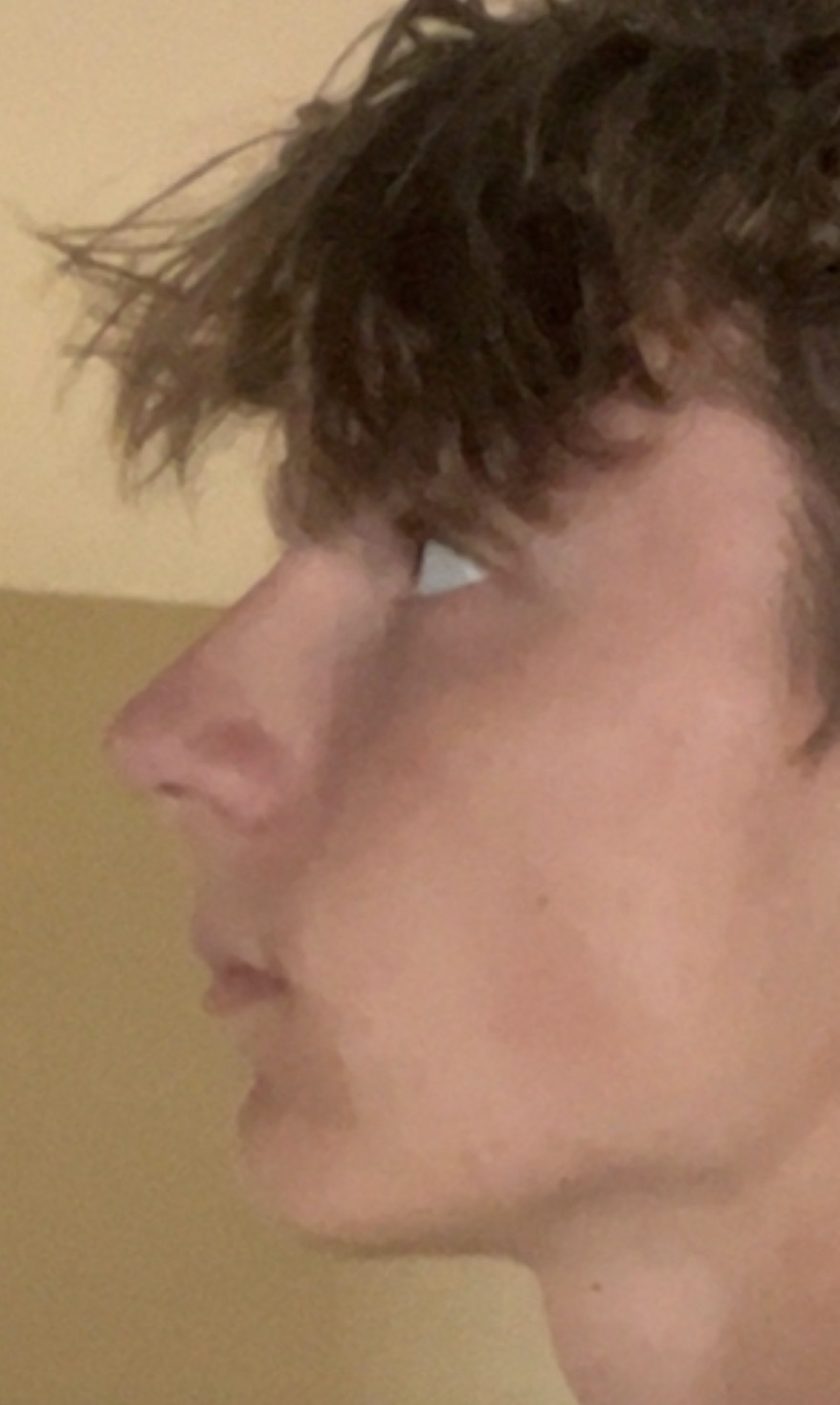 IMG 4699