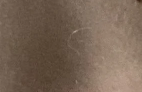 1784388328315