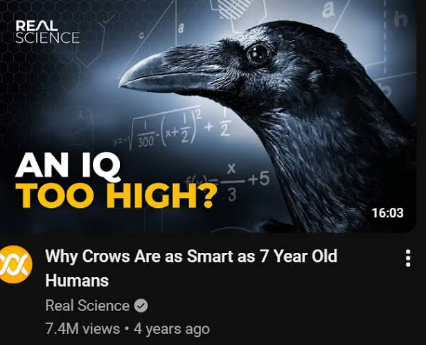 1784392350079