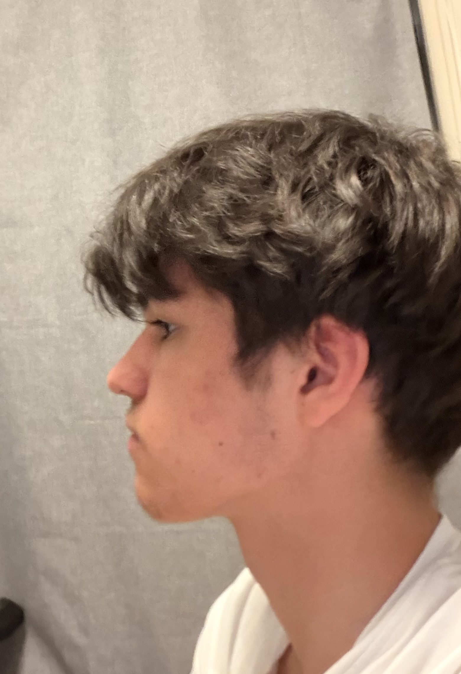 IMG 0500