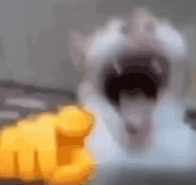 1784423288532