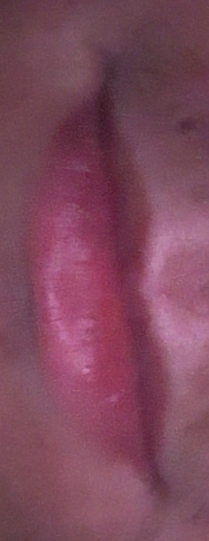 IMG 4764