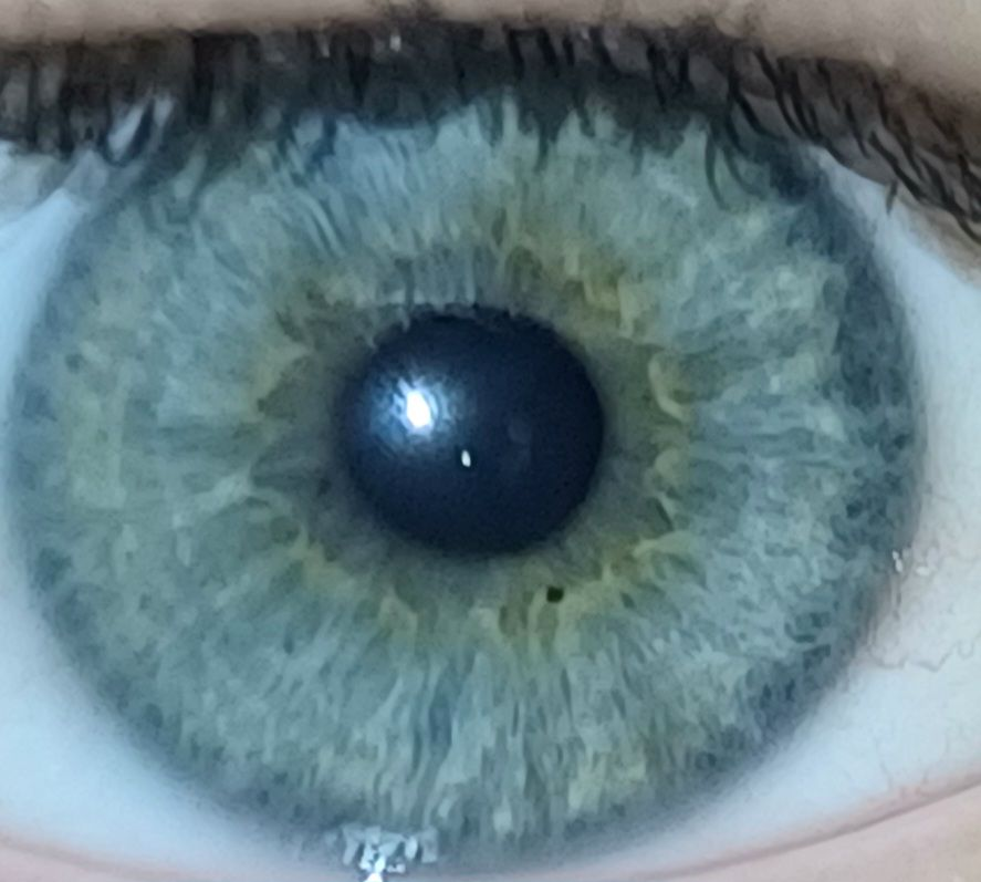 1784434052910