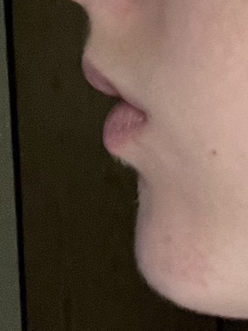 IMG 0365