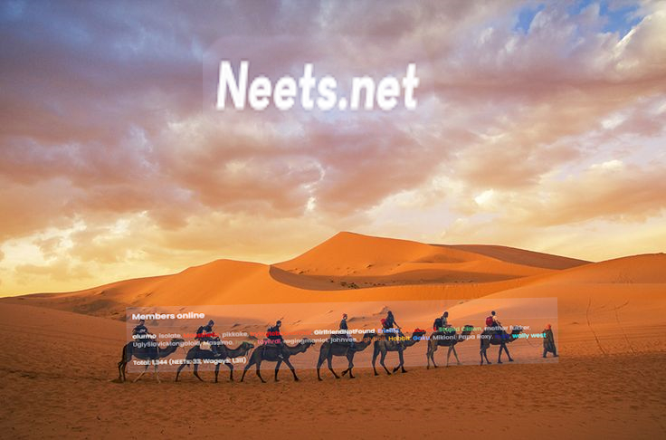 Neets desert