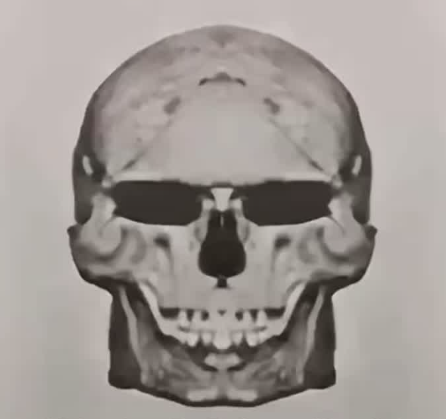 1784480554579