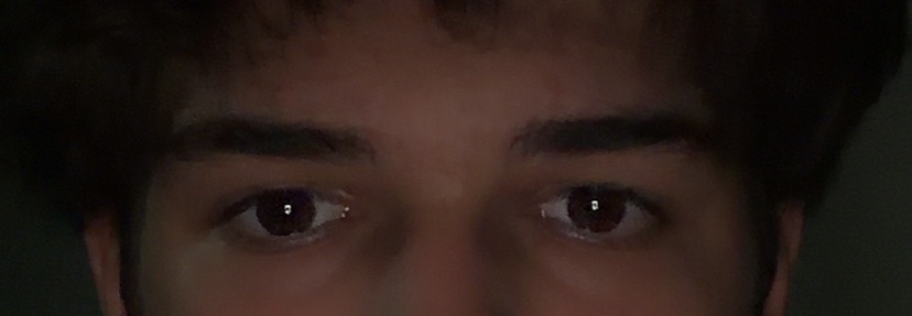 IMG 0517