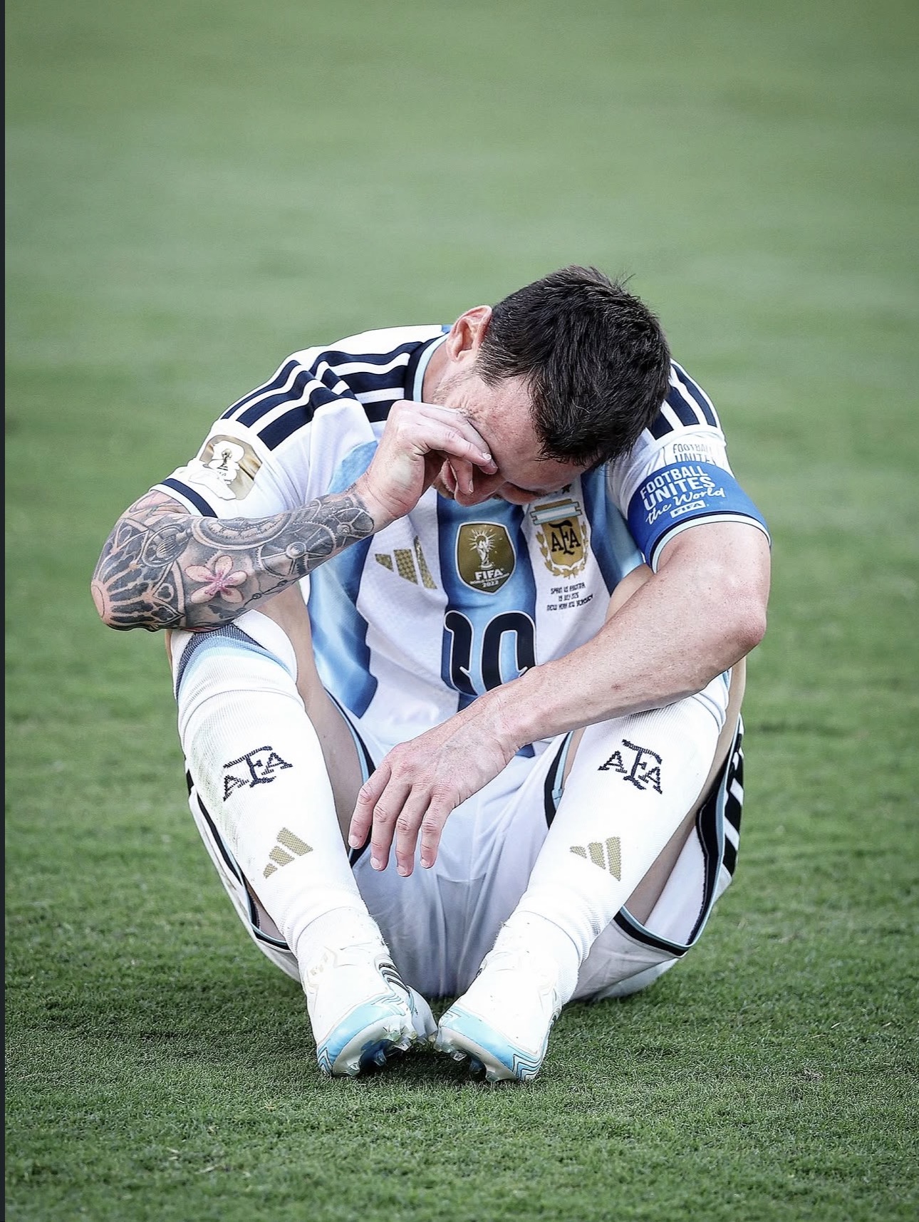 IMG 0979