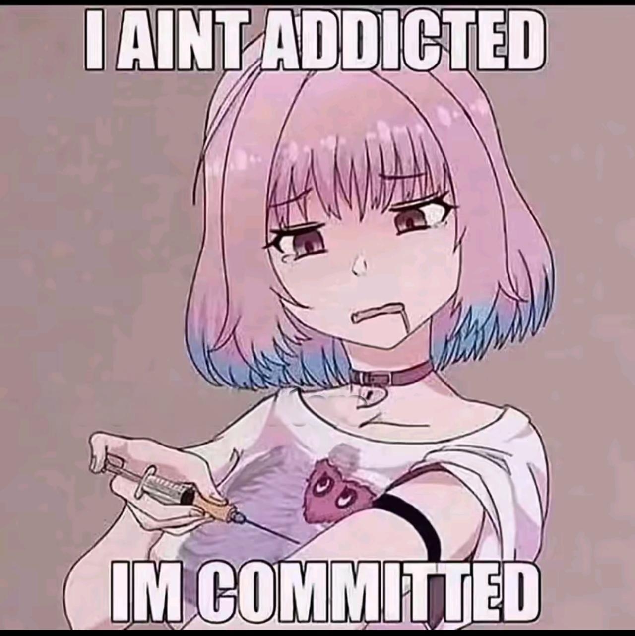 Commited Nigtard
