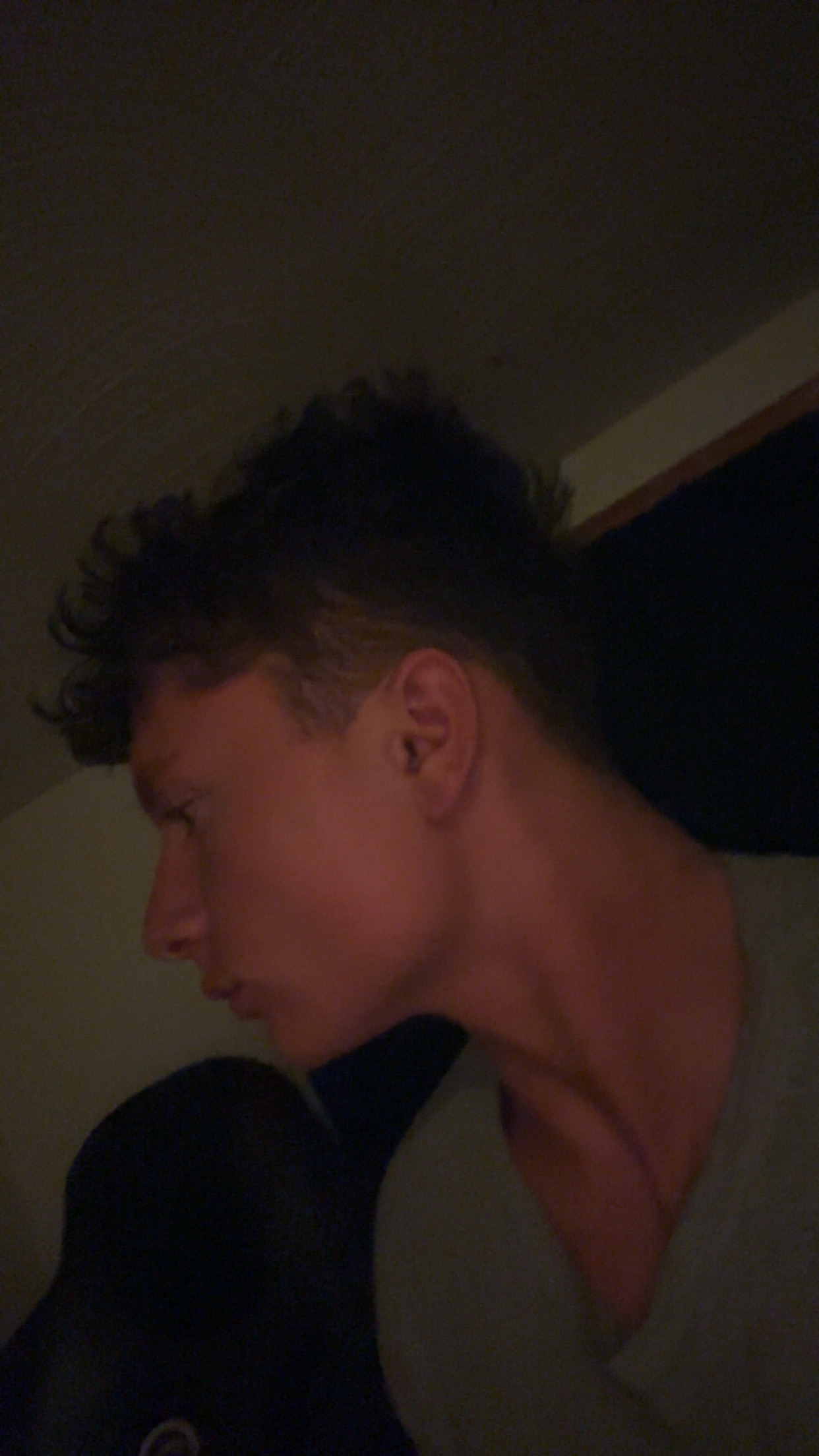 IMG 1930