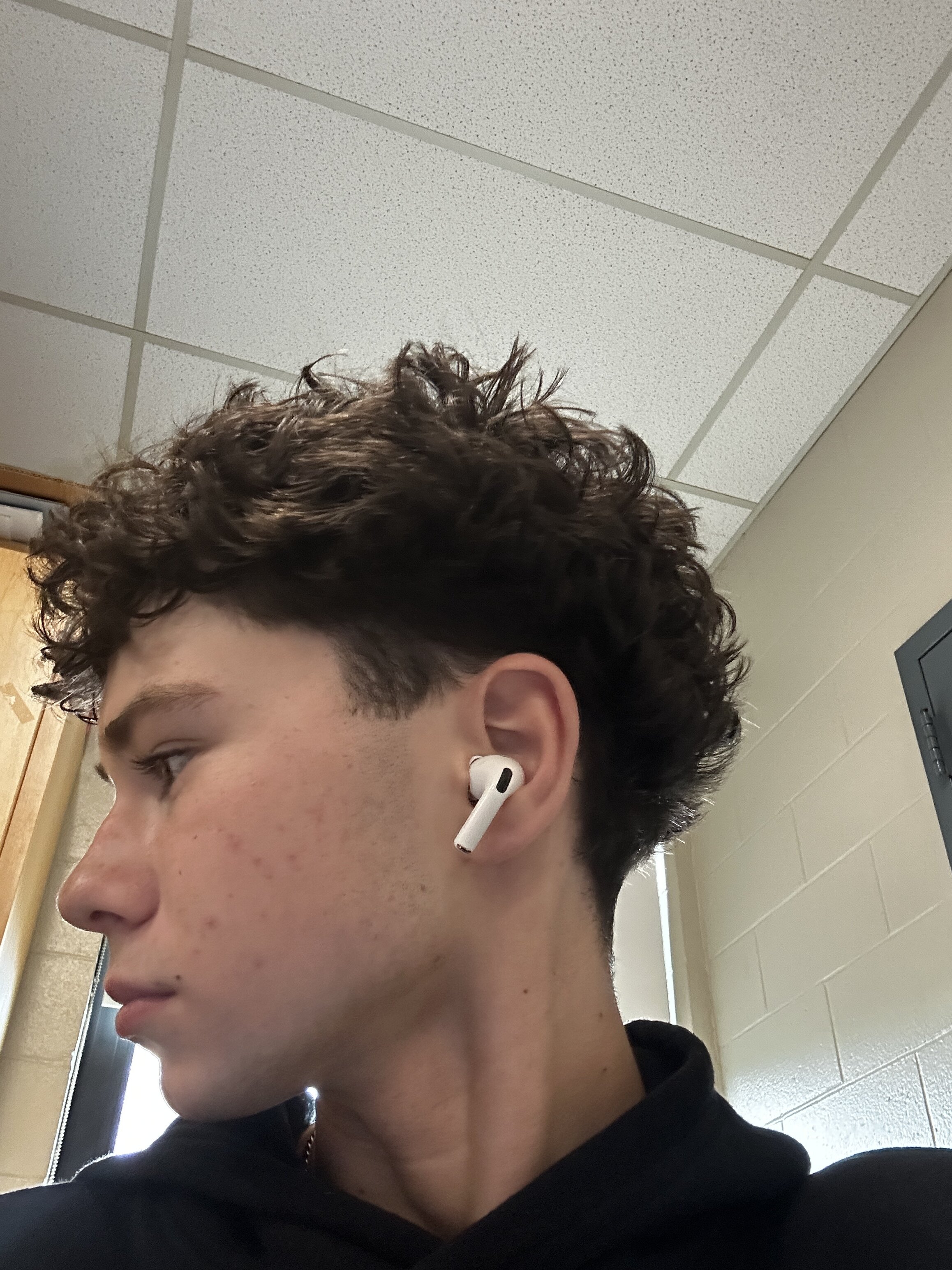 IMG 1361