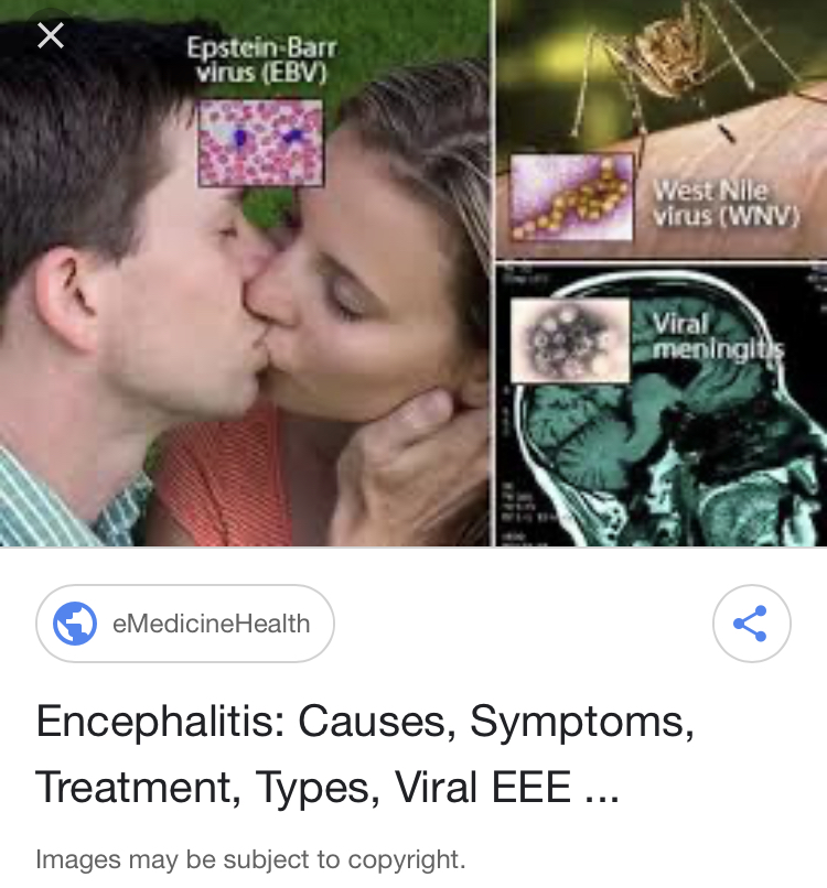 F66B975A D594 4193 82D9 26534E0D5A03