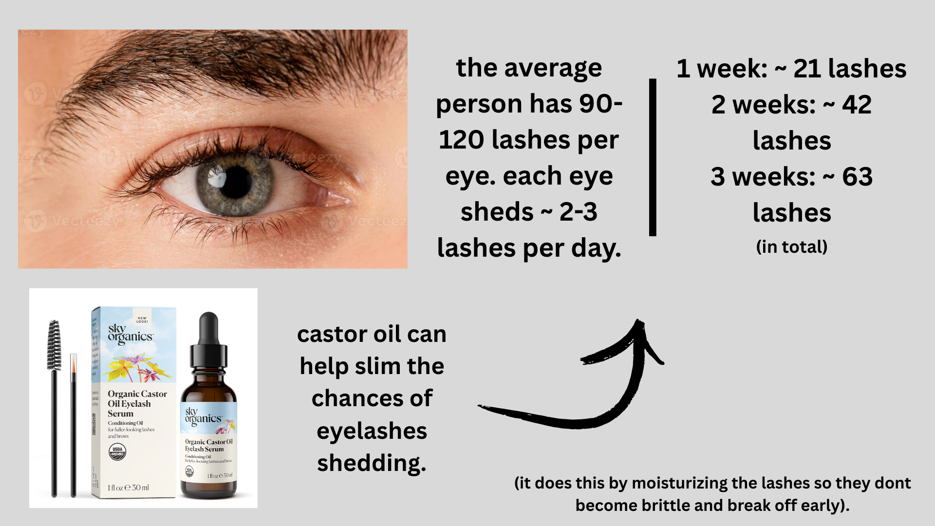 The average person has 90 120 lashes per eyeEach eye sheds 2 3 lashes per day