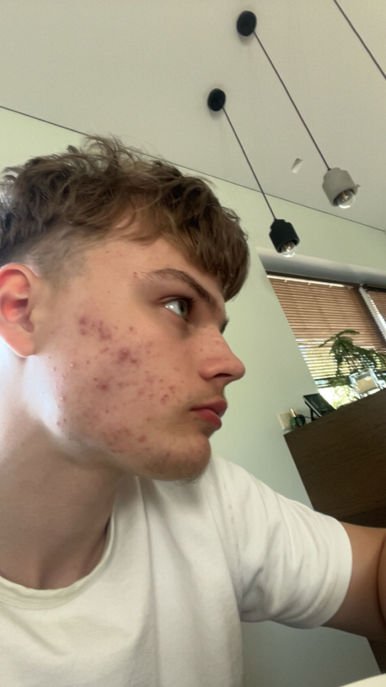 IMG 2590